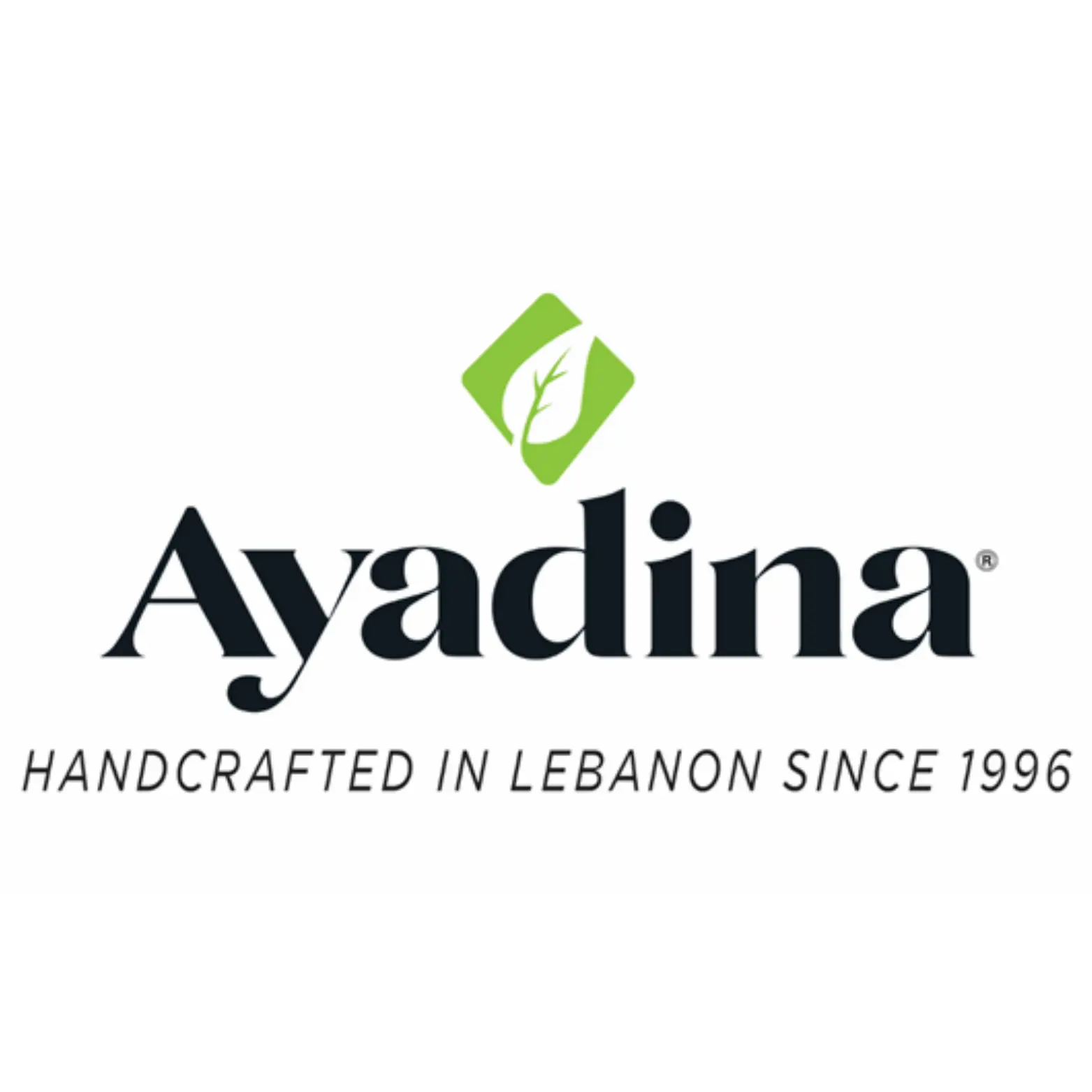 Ayadina Azkatech Odoo Client