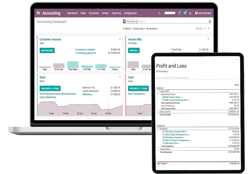 Cloud Accounting Software Odoo