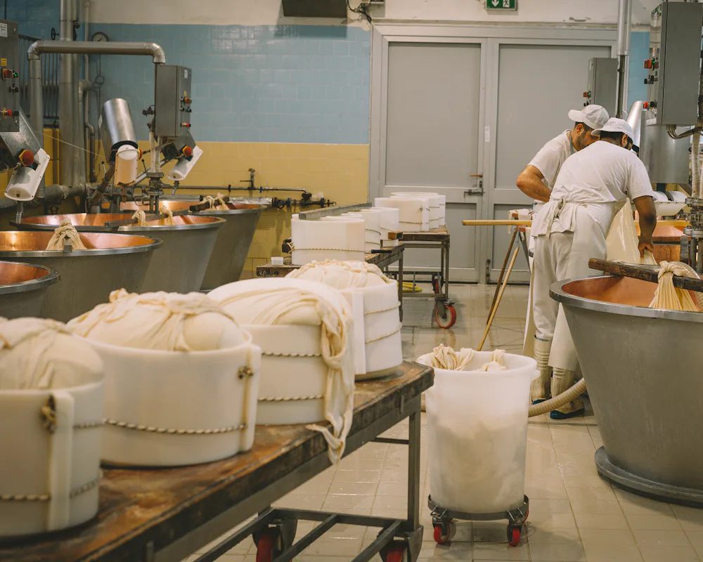Workers in a food processing plant running a batch, the kind of production Odoo Manufacturing plans and costs
