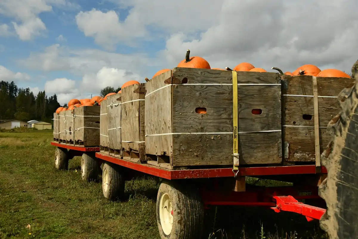 Trailer loaded with crates of harvested produce in a field